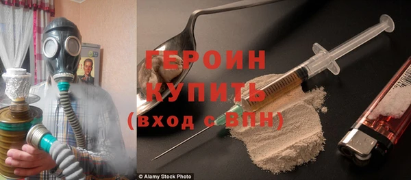 дживик Инта