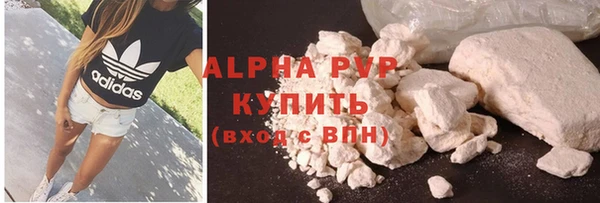дживик Инта