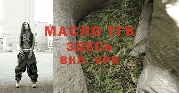 дживик Инта