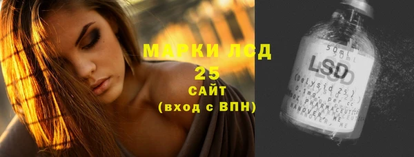 спиды Инсар