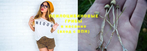 дживик Инта