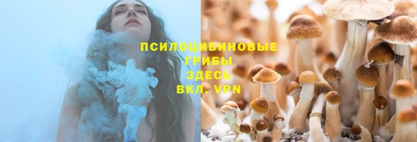 трава Иннополис