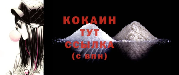 дживик Инта
