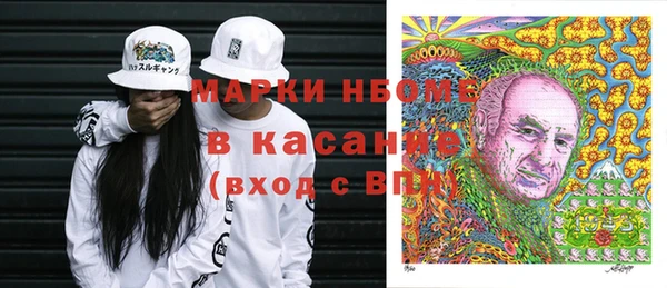 дживик Инта