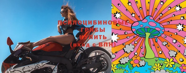 дживик Инта