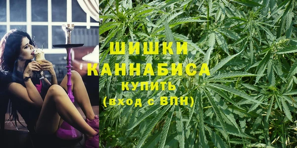 трава Иннополис