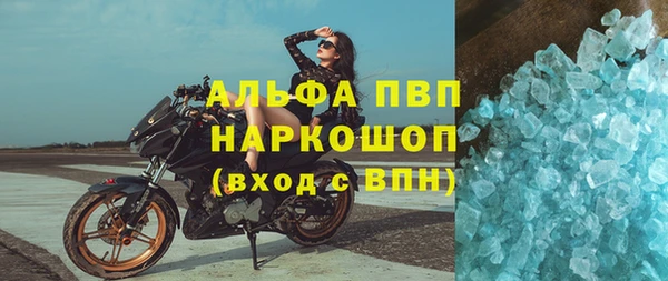 дживик Инта