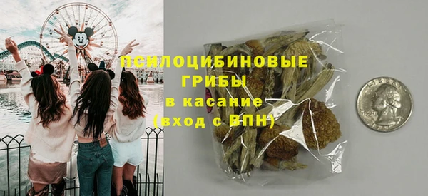трава Иннополис