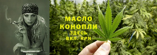 спиды Инсар