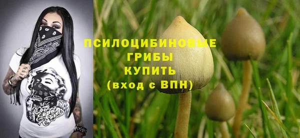 дживик Инта