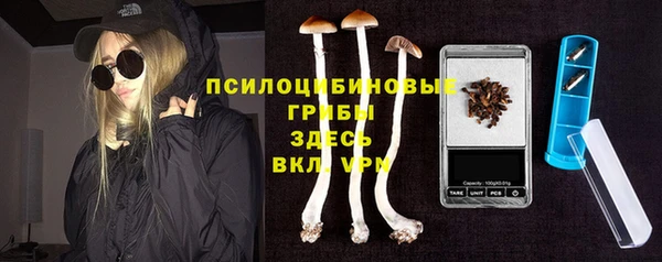 дживик Инта
