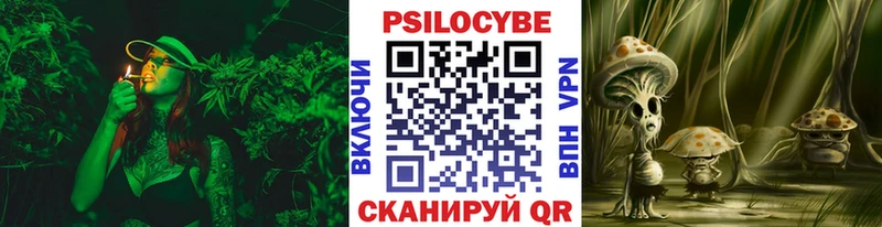 Галлюциногенные грибы мухоморы  Купить закладки  Лесной 